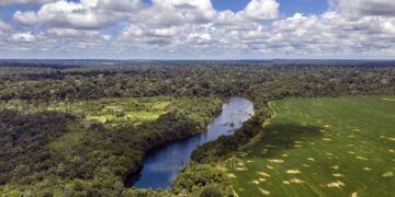 Placar da semana: desenvolvimentismo 3 x 0 Amazônia