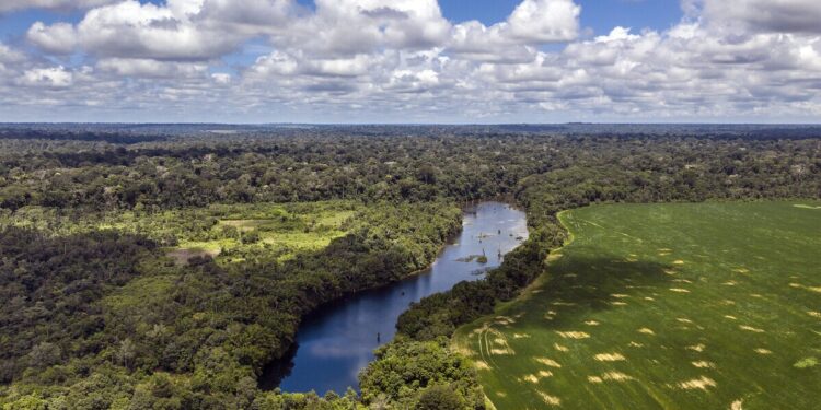 Placar da semana: desenvolvimentismo 3 x 0 Amazônia