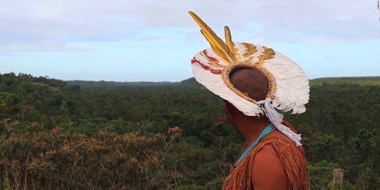 Indígenas Pataxó cobram rapidez em demarcações e investigações sobre assassinatos