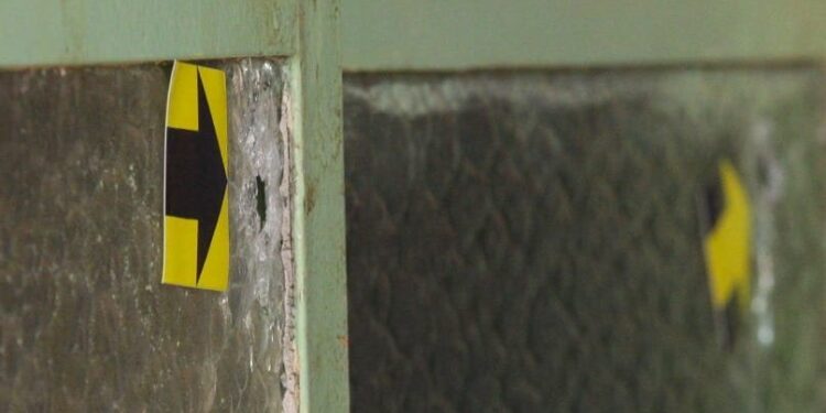 DF: vítima de feminicídio na Estrutural será enterrada neste sábado