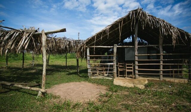 O que é o “consórcio da morte” e por que ele persiste no Xingu
