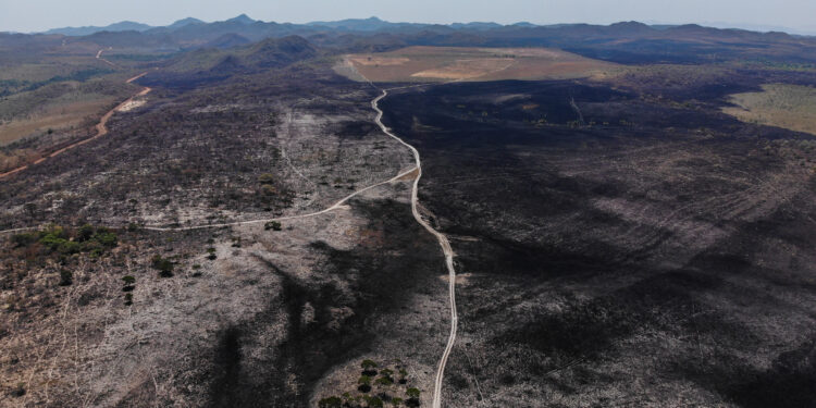 Emergência Climática