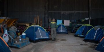 Com mais de R$73 milhões em multas, fazendeiros frustram operação do Ibama na Amazônia