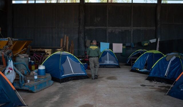 Com mais de R$73 milhões em multas, fazendeiros frustram operação do Ibama na Amazônia
