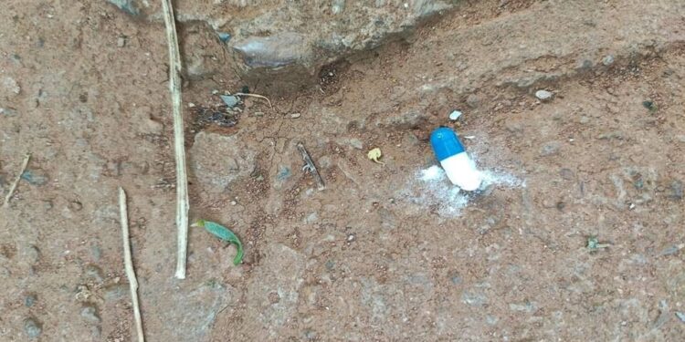 Moradores da Asa Norte denunciam descarte irregular de remédios