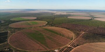 Justiça libera 400 mil hectares sob suspeita de grilagem após pressão ruralista na Bahia