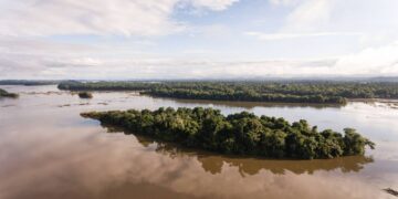 Pós-boiada, governo tem avanços significativos no ambiente, mas desafios crescem para 2024