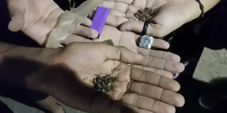 Especialistas Alertam para Riscos da PEC das Drogas