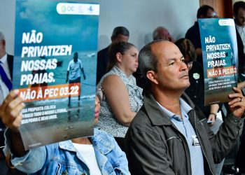 Senado discute PEC que pode privatizar praias - Waldemir Barreto/Agência Senado