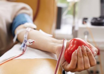 Dia Mundial do Doador de Sangue: saiba mais sobre a doação regular