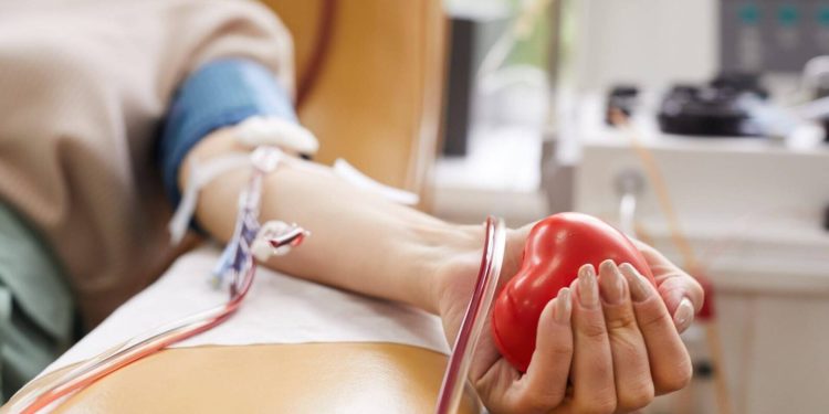 Dia Mundial do Doador de Sangue: saiba mais sobre a doação regular