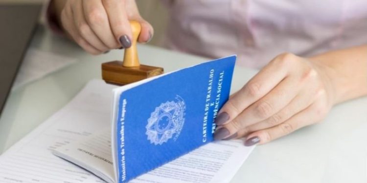 (Foto: Divulgação)