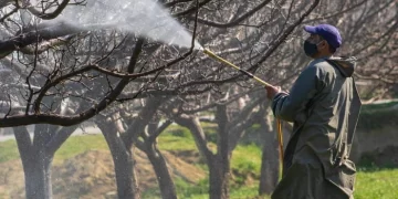 Grupo de 140 organizações pede mais impostos para agrotóxicos nas discussões da Tributária