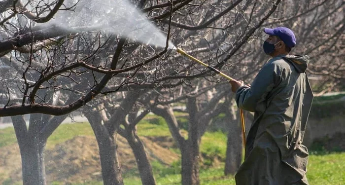 Grupo de 140 organizações pede mais impostos para agrotóxicos nas discussões da Tributária