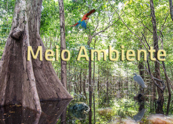 MPF move ação para impedir a alteração do curso natural do Rio Bracuí em Angra dos Reis (RJ)