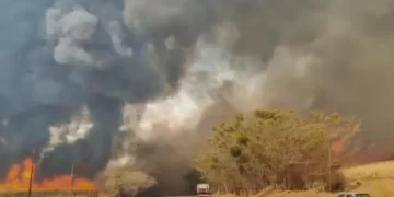 Foto: CBM-SP/Divulgação