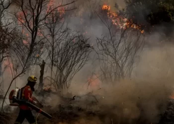 Governo Lula envia aviões para ajudar no combate aos incêndios florestais em São Paulo