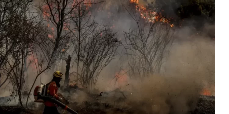 Governo Lula envia aviões para ajudar no combate aos incêndios florestais em São Paulo