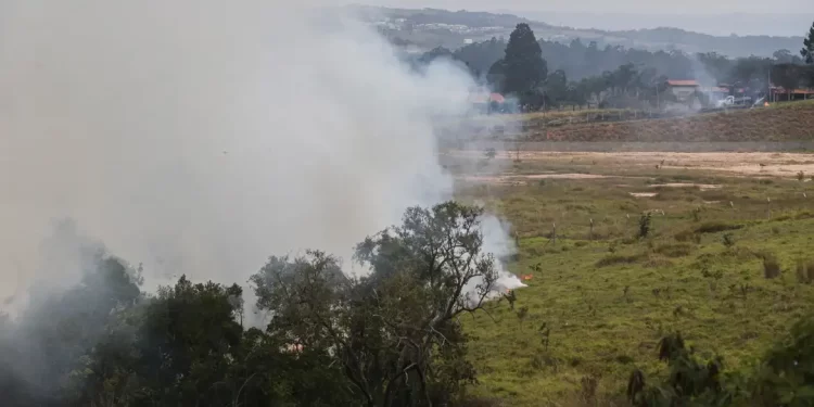 MP pede que TCU se junte ao governo Lula no combate aos incêndios florestais