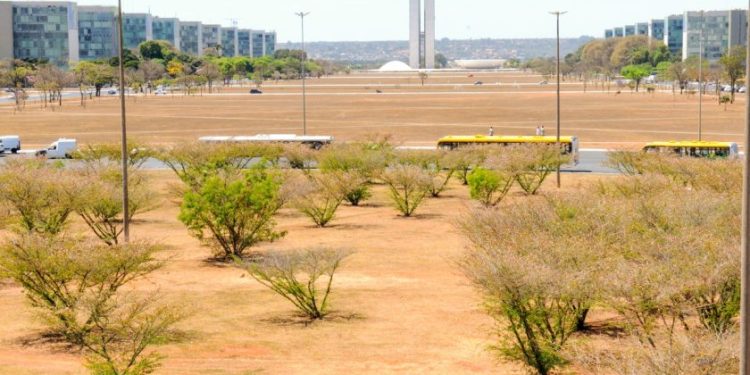 Distrito Federal enfrenta o segundo maior período de estiagem da história