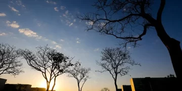 Foto: Daniel Ferreira/Metrópoles