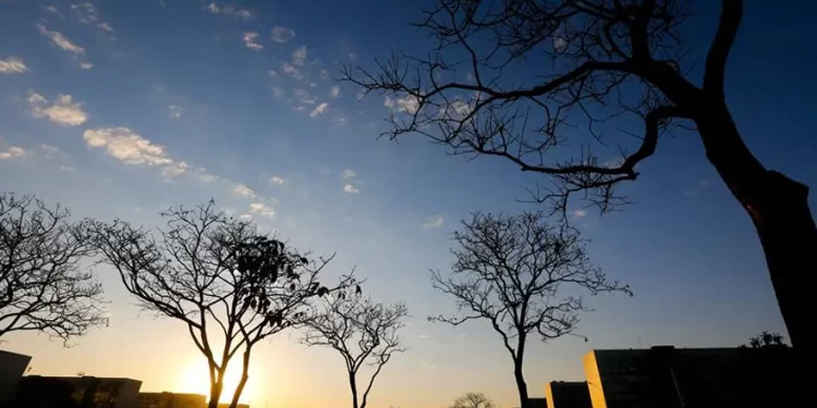 Foto: Daniel Ferreira/Metrópoles