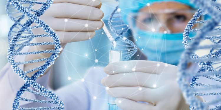 Gene potente aumenta risco de Alzheimer e outras doenças cerebrais