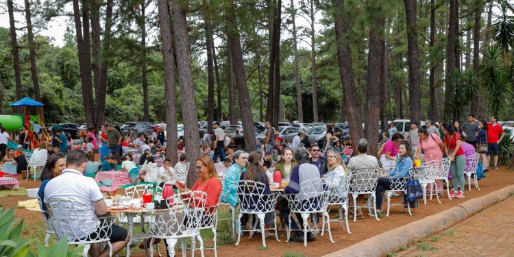 Jardim Botânico de Brasília substituirá pinheiros por árvores nativas