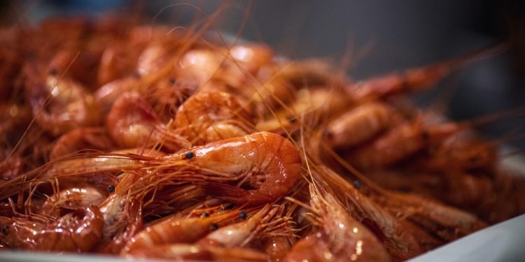 Você pode ter alergia a camarão e não saber: veja os sinais