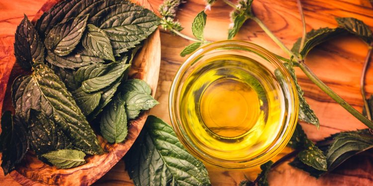 Chá antioxidante auxilia no controle da glicemia e protege o coração