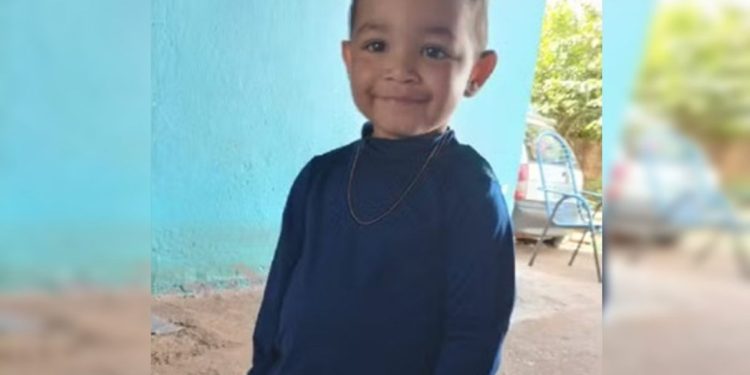 Criança tem 33 paradas cardíacas e morre após ser picada por escorpião