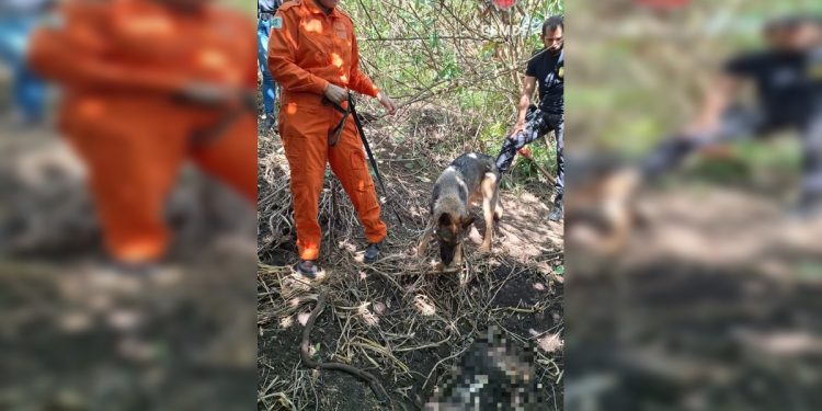 Corpo de mulher enterrado foi localizado após denúncia anônima à PCDF
