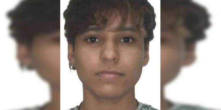 Vítima de feminicídio no DF pediu medida protetiva antes de ser morta