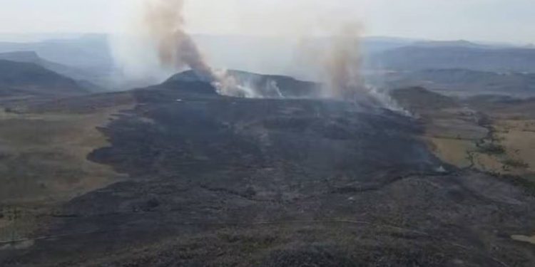 ICMBio mobiliza 30 brigadistas para combater incêndio na Chapada