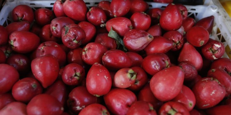 Conheça fruta que ajuda a prevenir o infarto e fortalece o coração