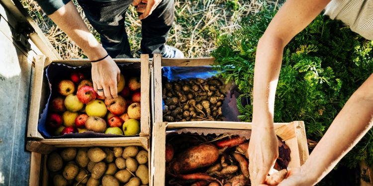 Produtos naturais e orgânicos: o que realmente funciona? Entenda