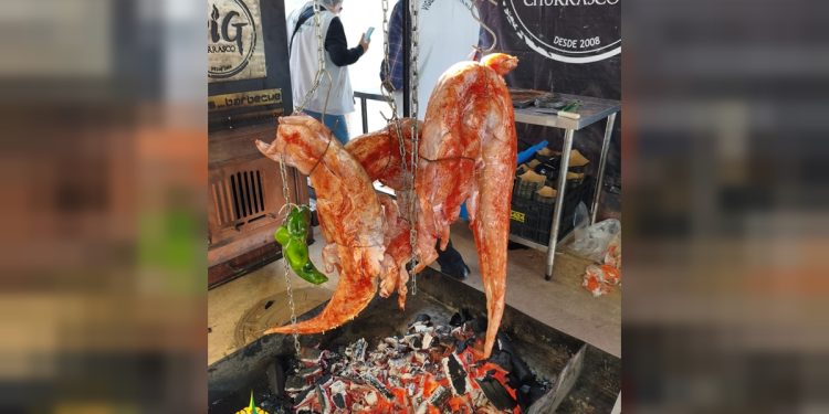 Operação apreende carne de jacaré durante evento de gastronomia no DF