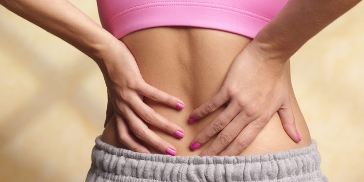 Composição muscular pode indicar risco de dor crônica nas costas