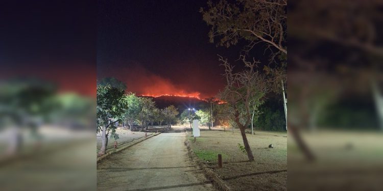 Cachoeira é reaberta após bombeiros controlarem fogo em Pirenópolis