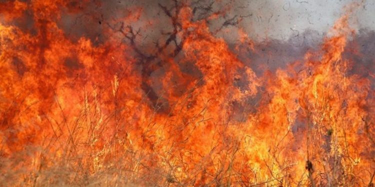Incêndio atinge Pirenópolis, fecha cachoeira e ameaça interditar outras