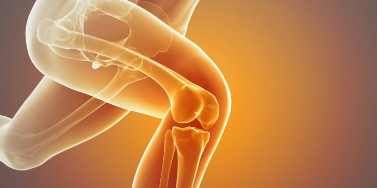 Dor nos joelhos: ortopedistas explicam como prevenir, cuidar e tratar