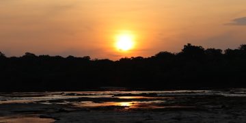 Amazônia enfrenta escalada inédita de temperaturas extremas em áreas ainda preservadas