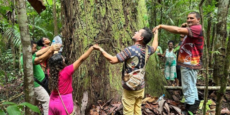 Quilombolas no Pará enfrentam projeto de aterro sanitário em área suspeita de grilagem