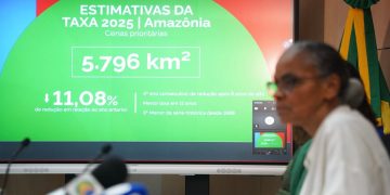 Amazônia alcança a terceira menor taxa de desmatamento da história