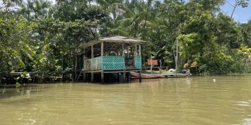 Ilha do Combu: do palco de Mariah Carey às mudanças climáticas