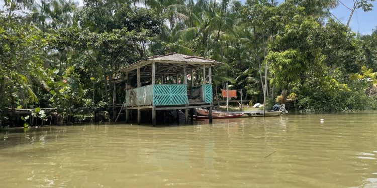 Ilha do Combu: do palco de Mariah Carey às mudanças climáticas