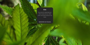 Foi mal, tava doidão: Meta suspende perfis de cannabis do Instagram sem justificativa