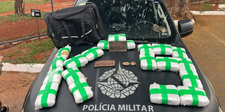 Cão fareja 20kg de maconha em mala na Rodoviária de Brasília