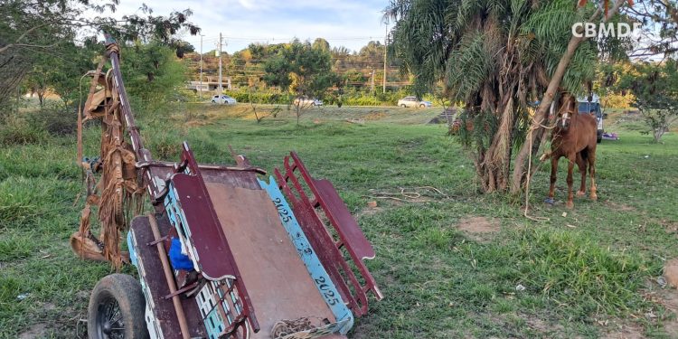 Carroça desgovernada atropela três pessoas no Lago Norte