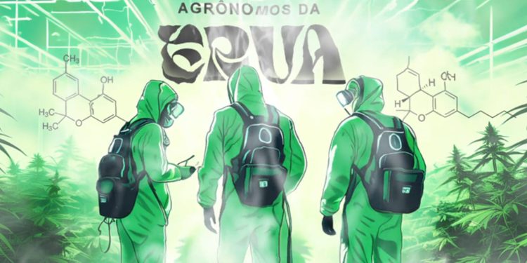 Venda de “sementes da noia” faz agrônomos da erva pegarem pena pesada